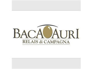 Baca Auri